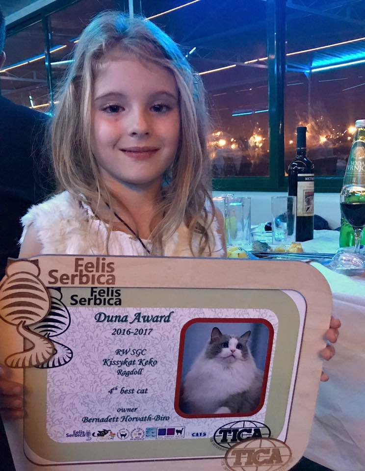 /images/Galeria/Kiállítások (Cat shows)/22688483_503399650027734_4789493575402156643_n.jpg